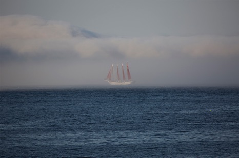Ghost Ship - NHP245 Ghost Ship - NHP245